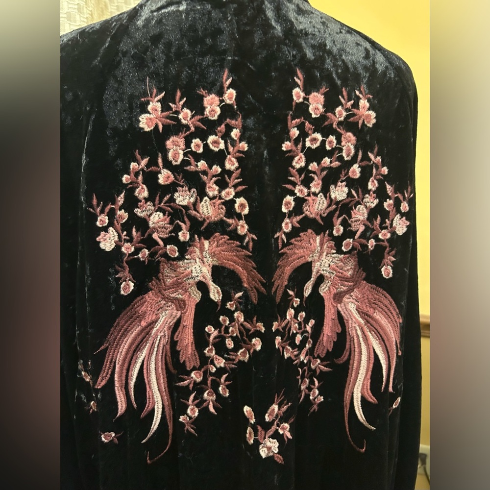 ODDY Anthropologie Black Velvet Garment - Picture 5 of 10